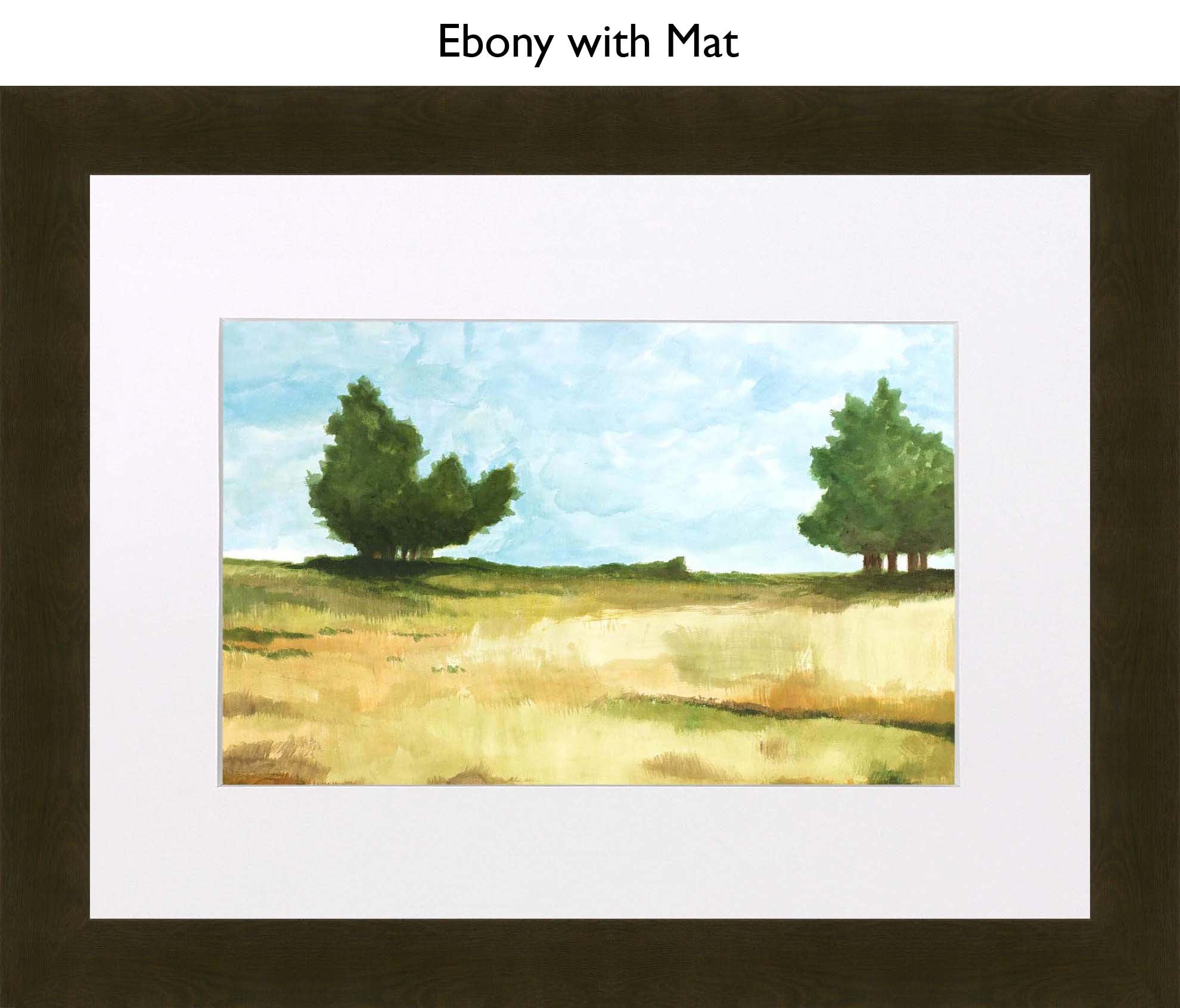 Ebony With Mat