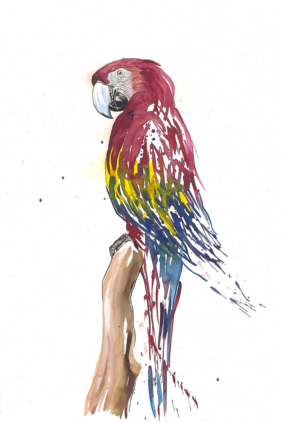 Expressive watercolor parrot painting with crimson, gold, blue, and violet feathers