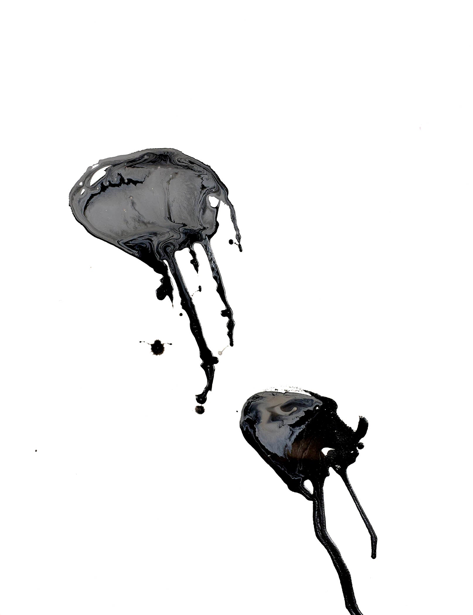 Biomorphic minimalist painting with two inky forms and trailing tendrils across a white void, evoking eerie grace and suspended motion.