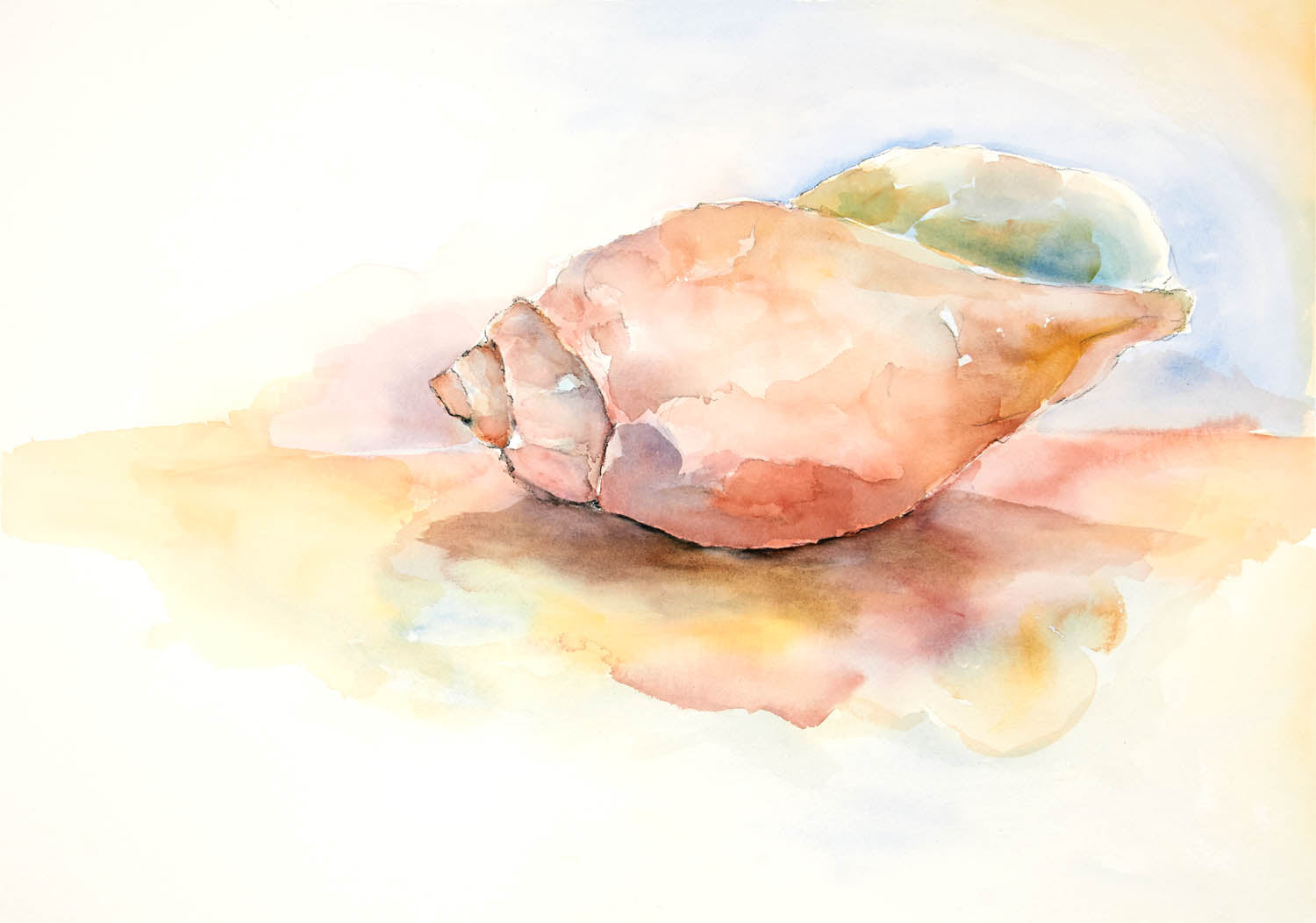 Beach-inspired watercolor of a coral and gold conch shell glowing with warm light and soft coastal tones.