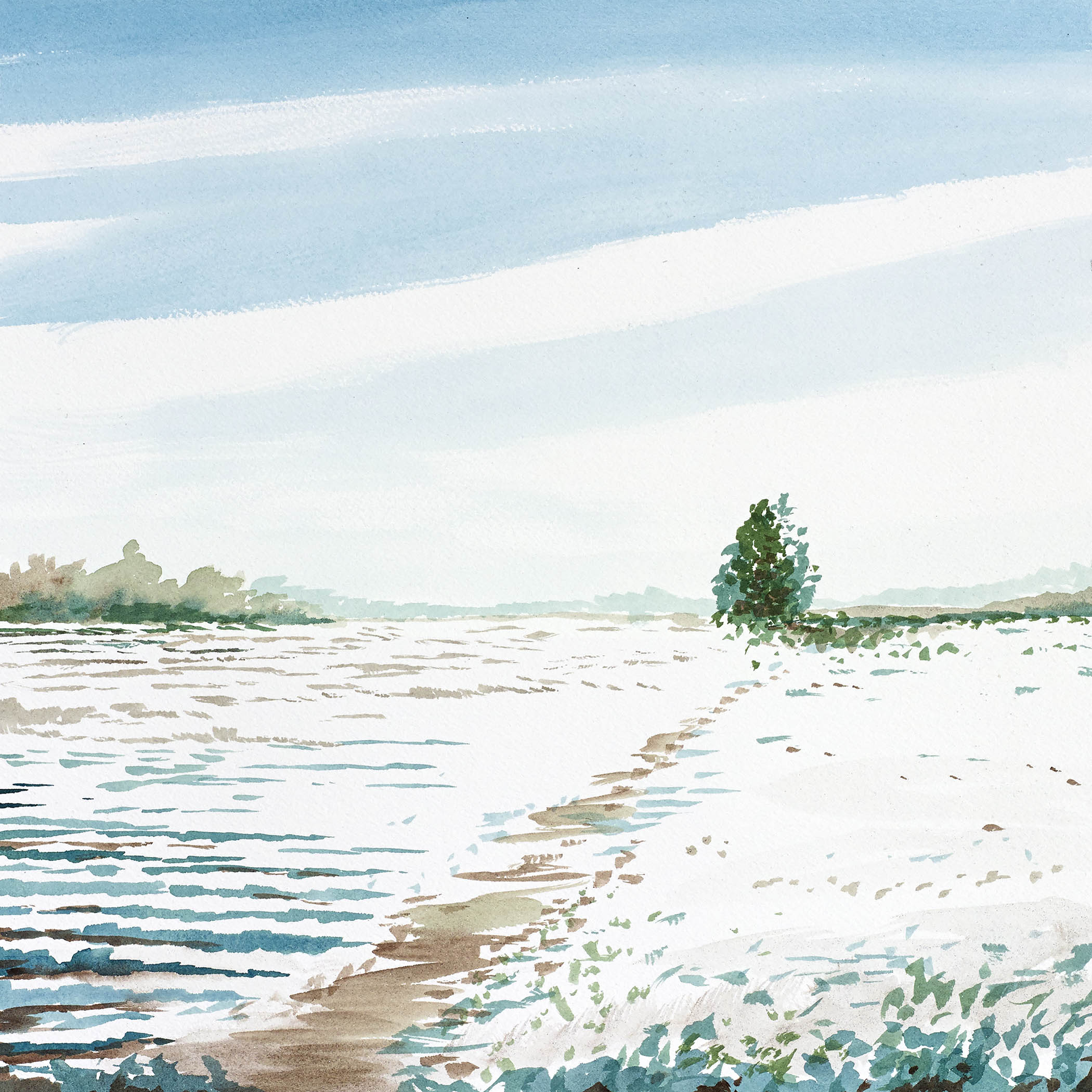 Solitary tree winter watercolor landscape with a snowy path beneath a vast, windswept sky.