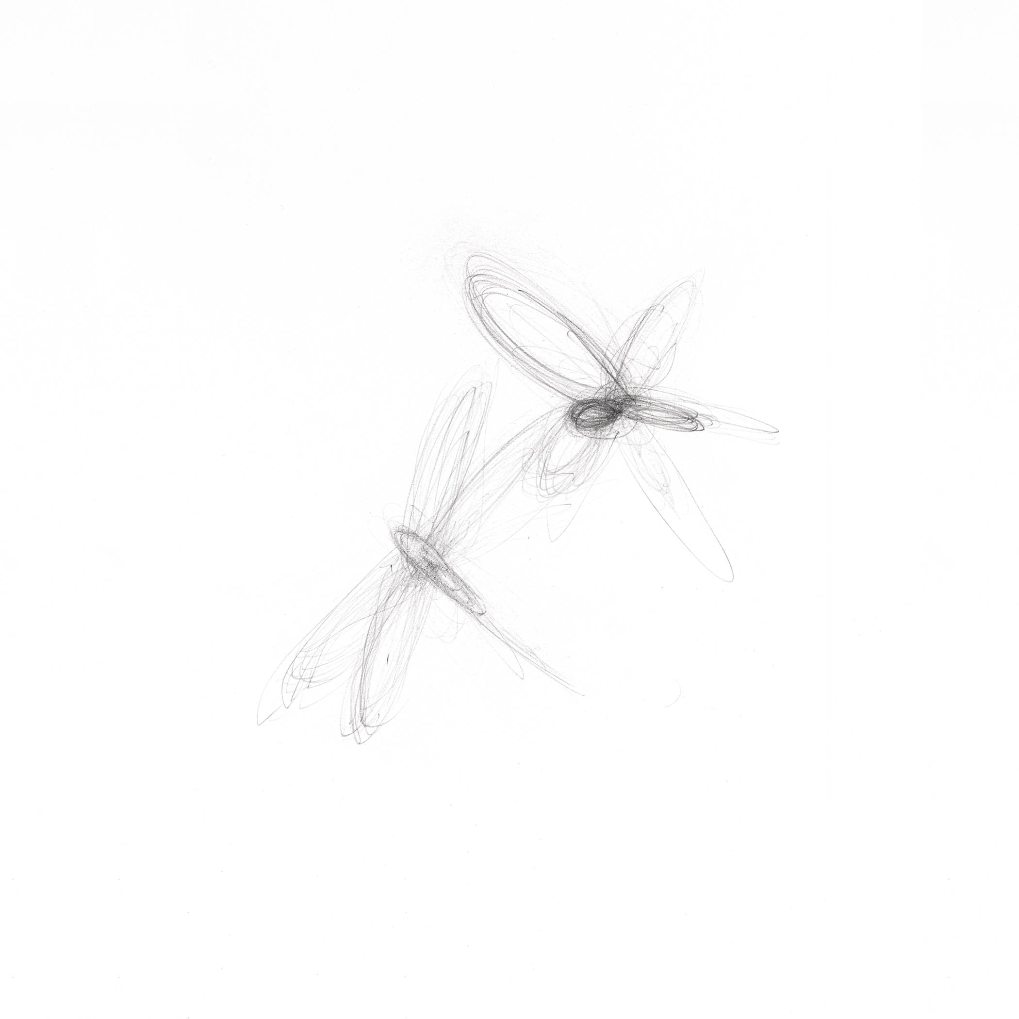 Minimalist graphite art with two soft spiral forms suggesting wings, movement, and quiet connection in weightless balance.