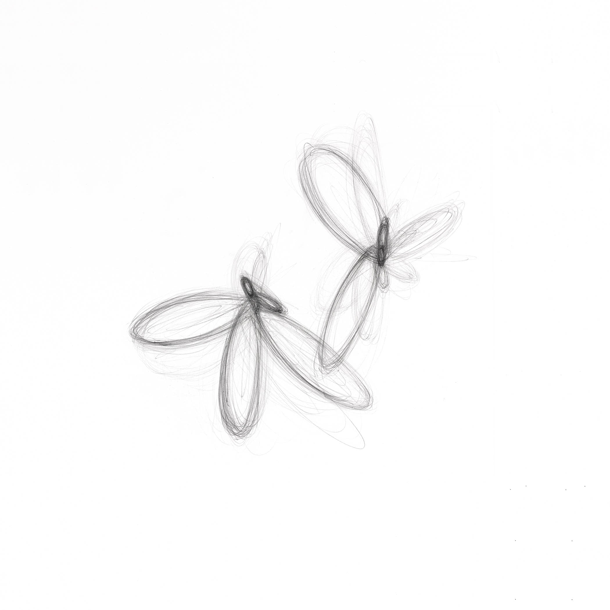 Minimalist graphite drawing with two translucent wing-like forms looping in motion, radiating quiet balance and energy.