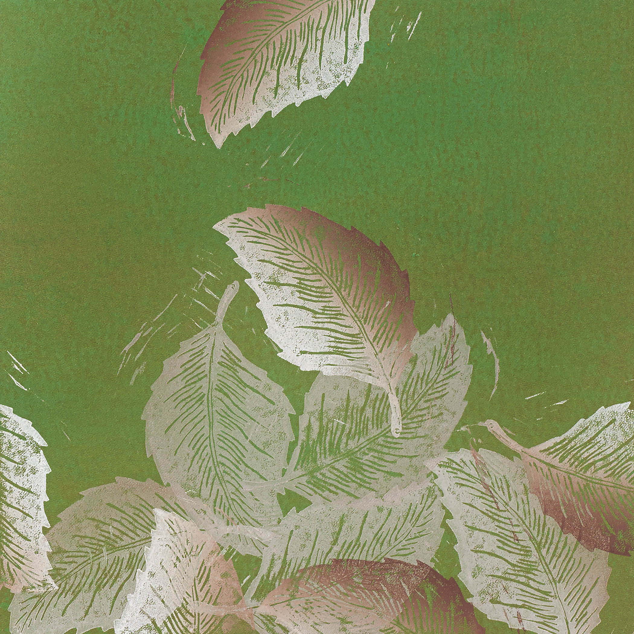 Fundamental Foliage I