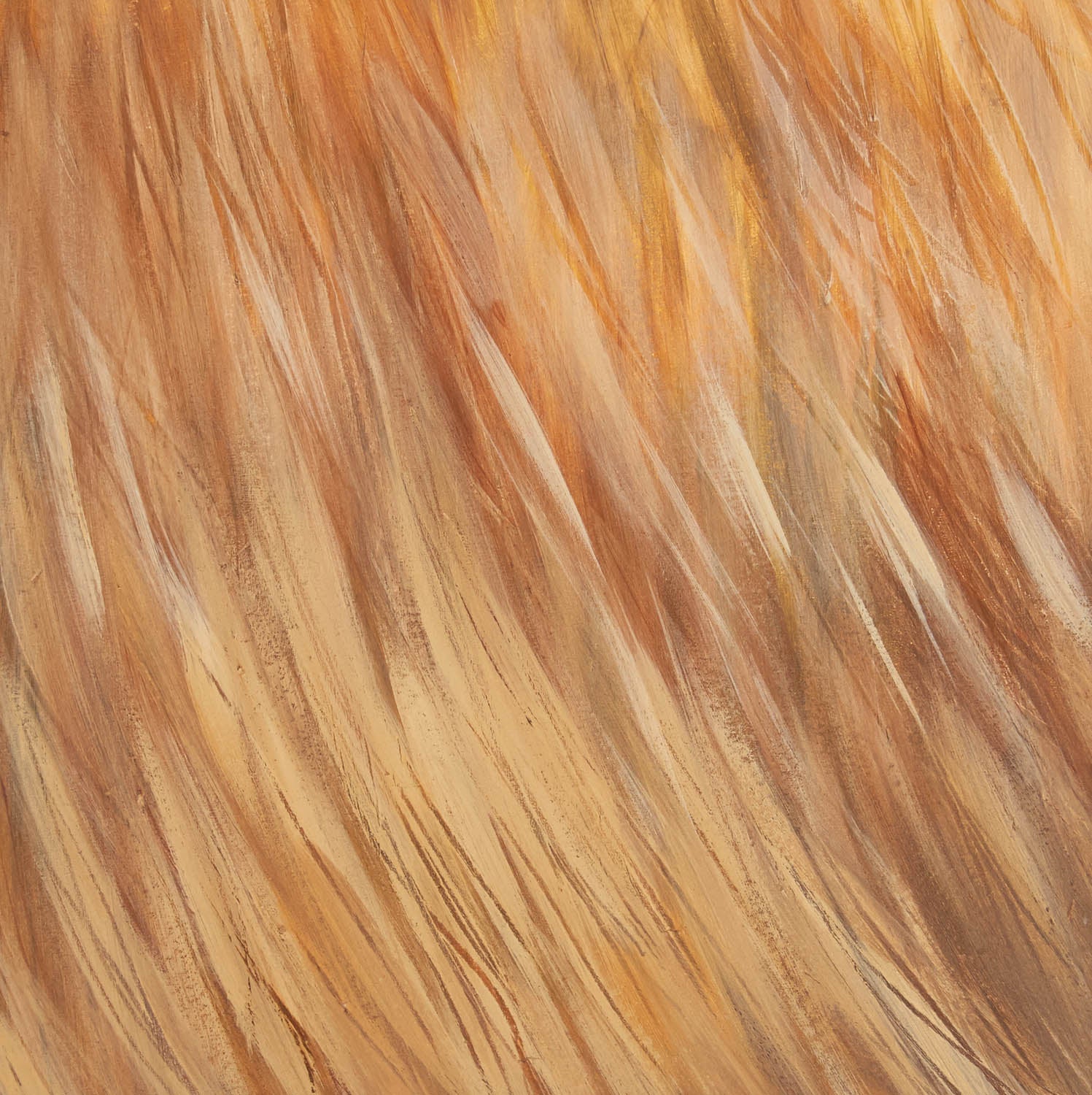 Golden abstract art with sweeping sunlit grain strokes, layered texture, and warm motion inspired by earth and light.
