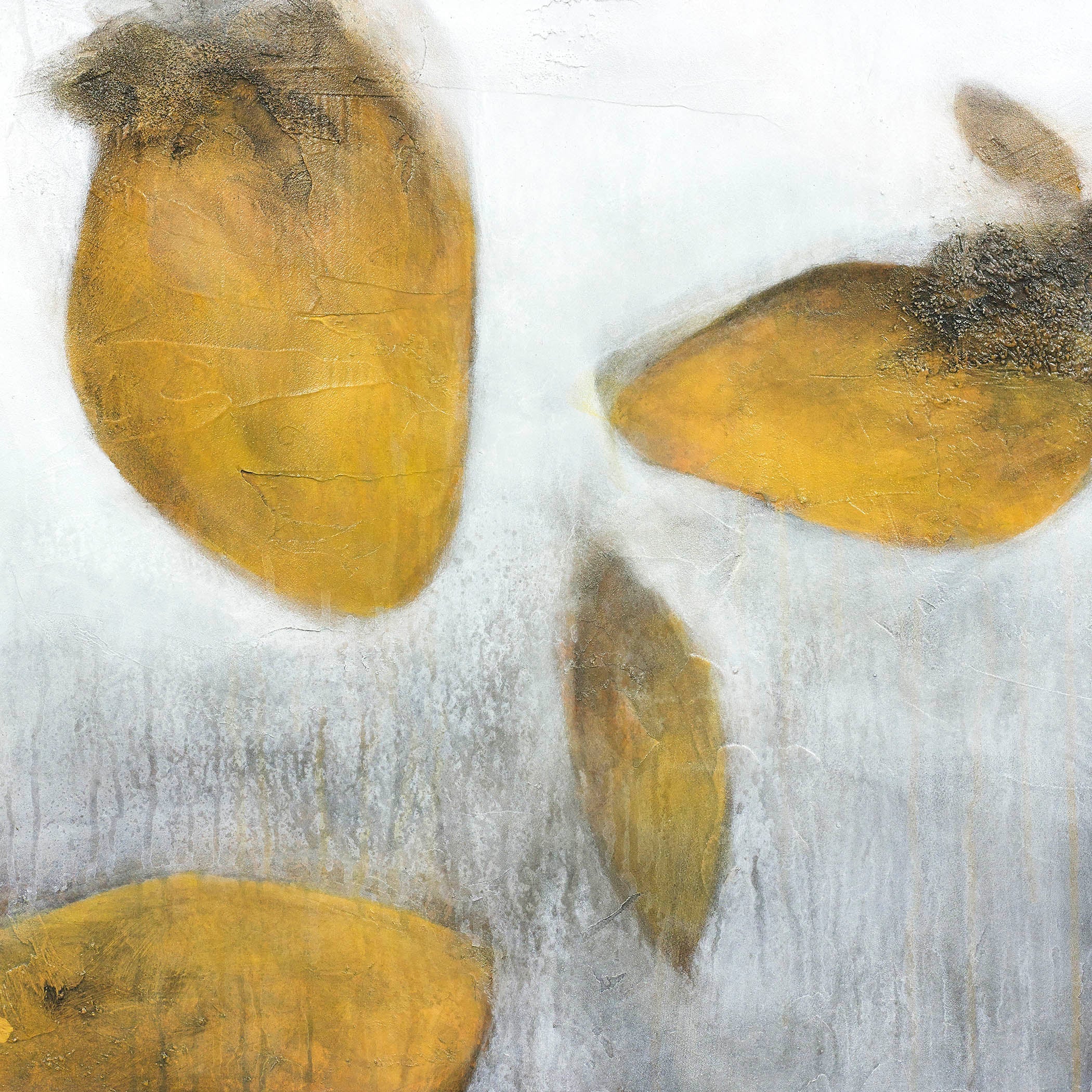 Transcendant Spheres III