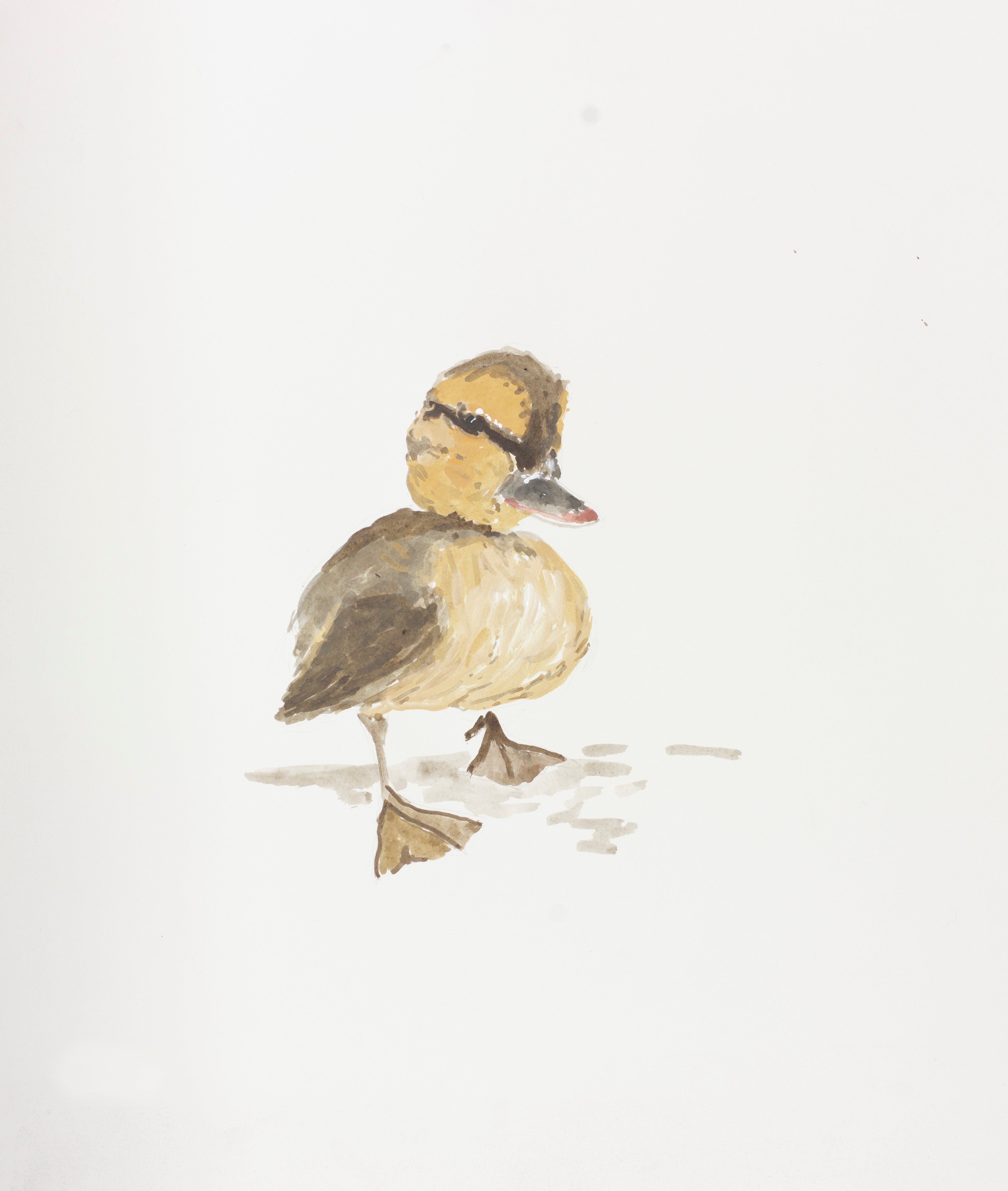 Minimalist animal watercolor of a duckling in soft browns and golds on a pale background, gentle and charming.