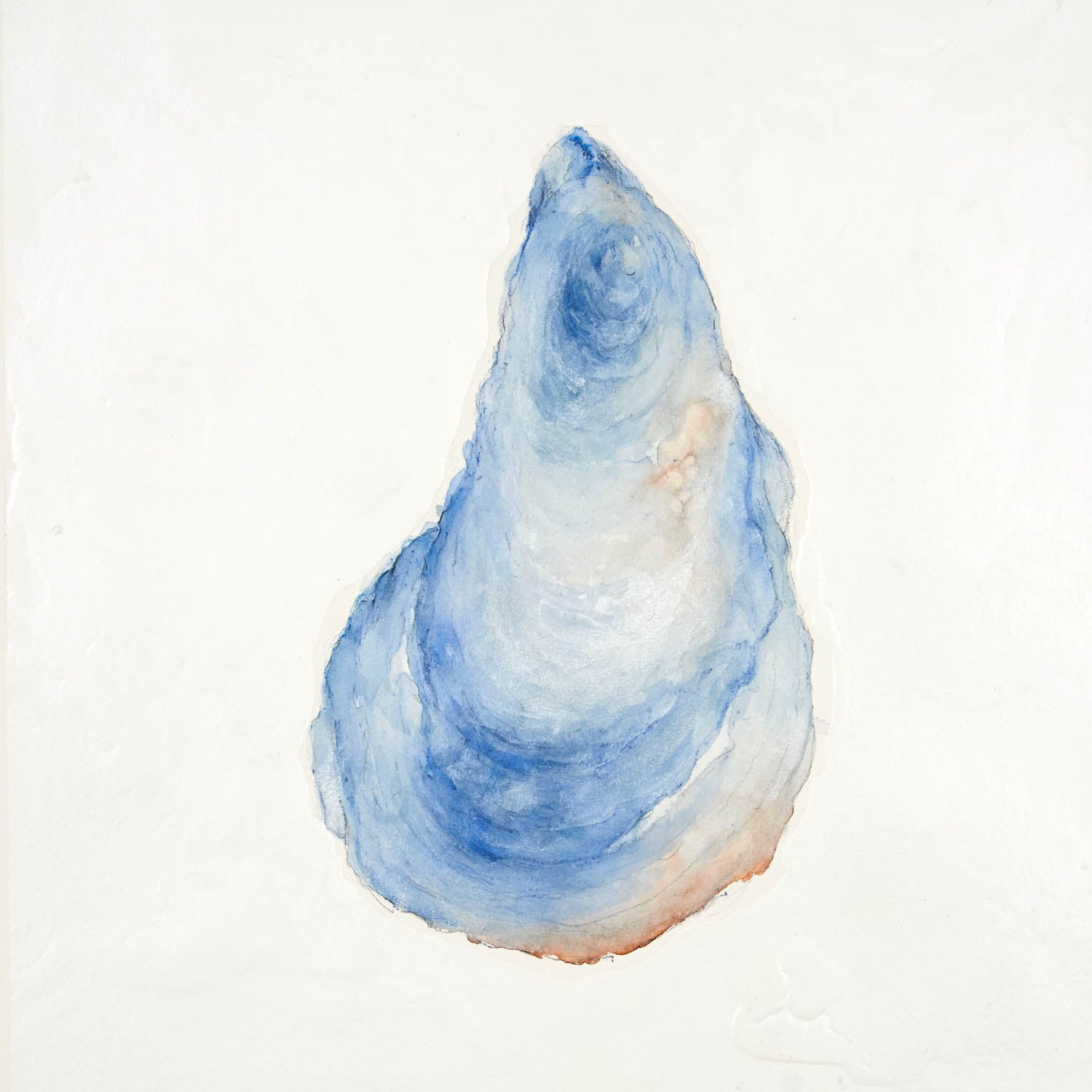 Minimalist abstract watercolor with delicate cerulean and soft coral layers spiraling into a shell-like form on a luminous white background, evoking calm ocean breath.