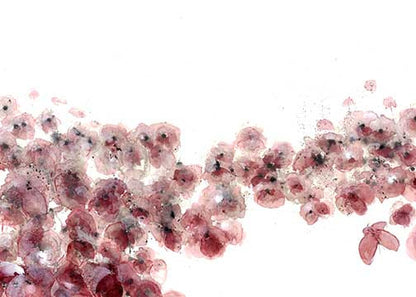Elegant abstract floral painting with blush pink and wine red blooms on white background