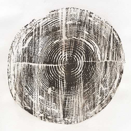 Tree ring woodcut print in monochrome, showcasing organic rhythm and raw beauty with minimal, meditative simplicity.