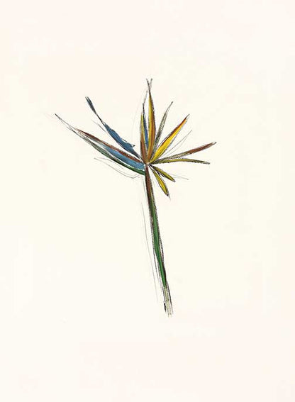 Bird of paradise art featuring a minimalist floral sketch with delicate lines and earthy tones, expressive and organic in style.