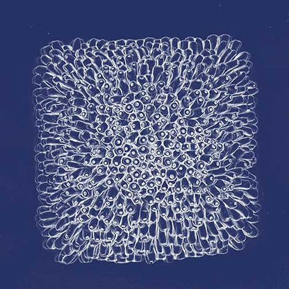 Sea anemone artwork with intricate white forms and repeating patterns on a deep blue background
