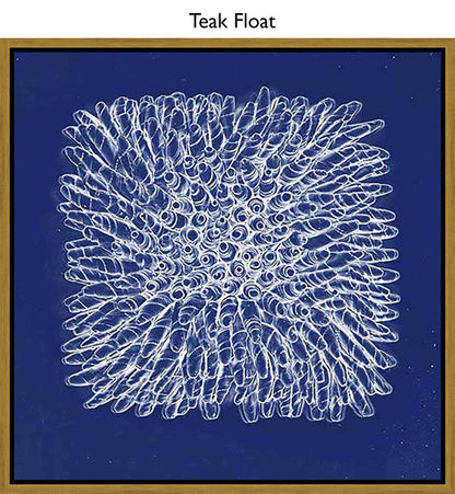 Teak Float