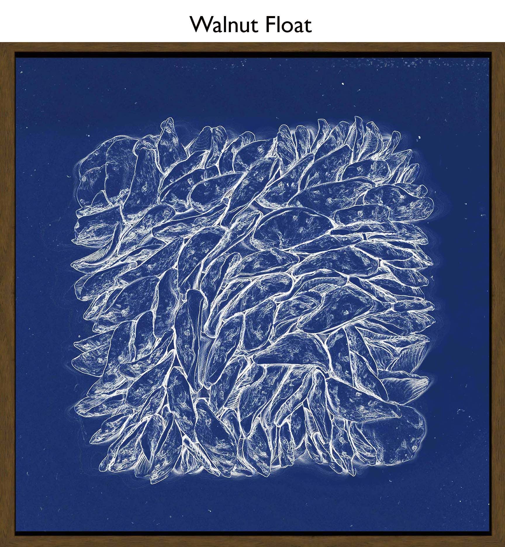 Walnut Float