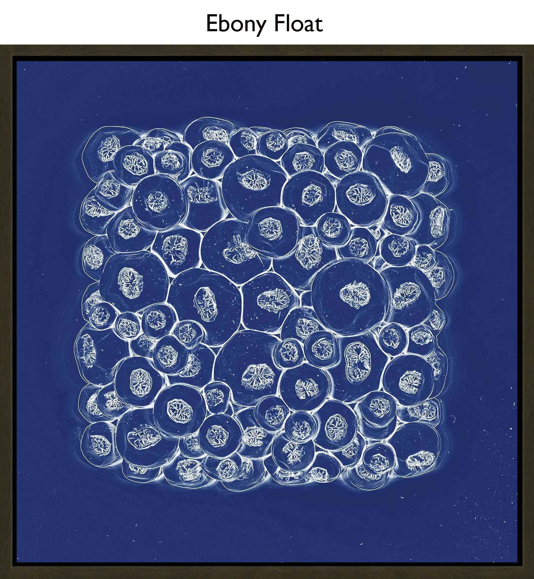 Ebony Float