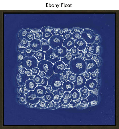 Ebony Float