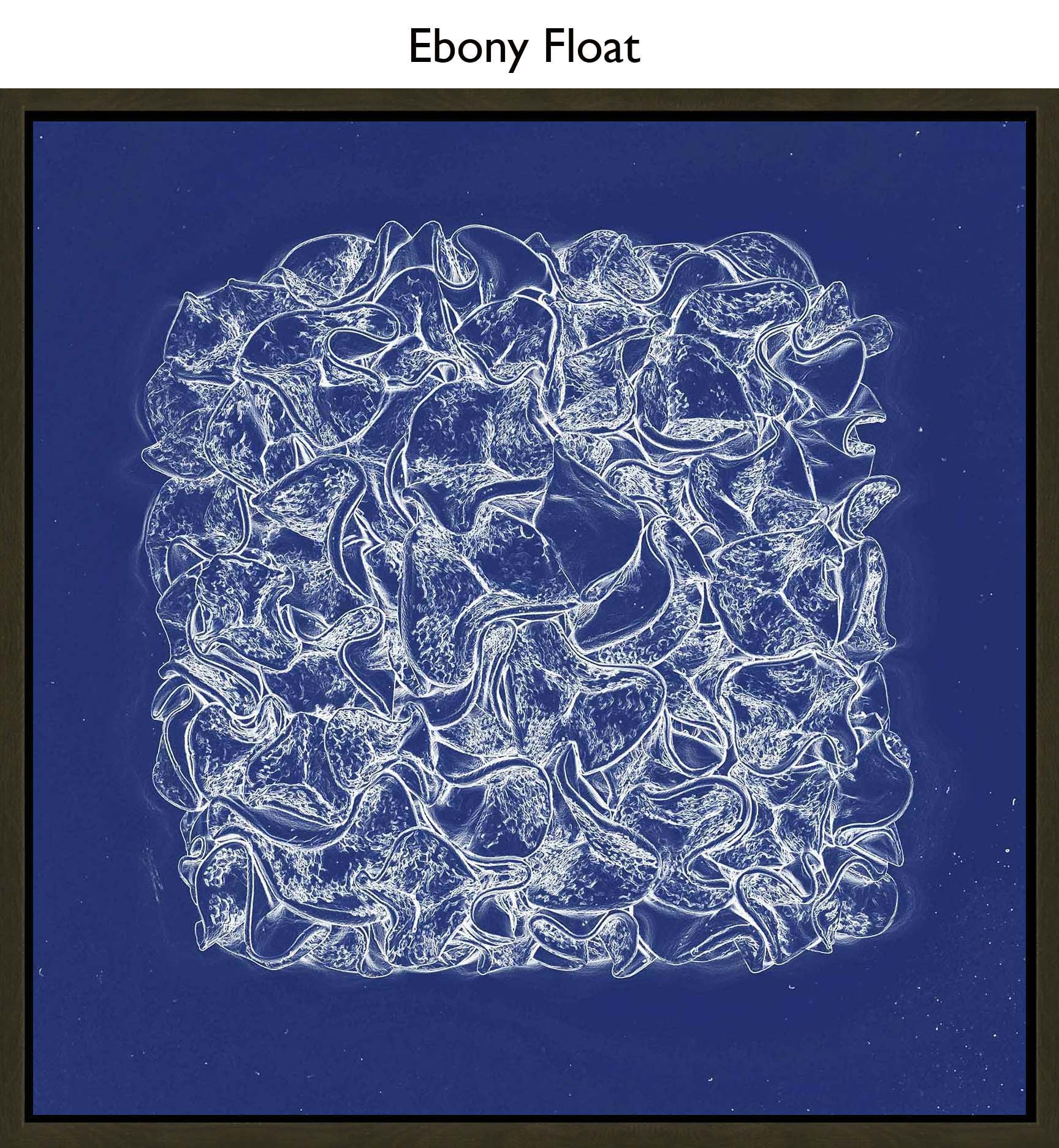 Ebony Float