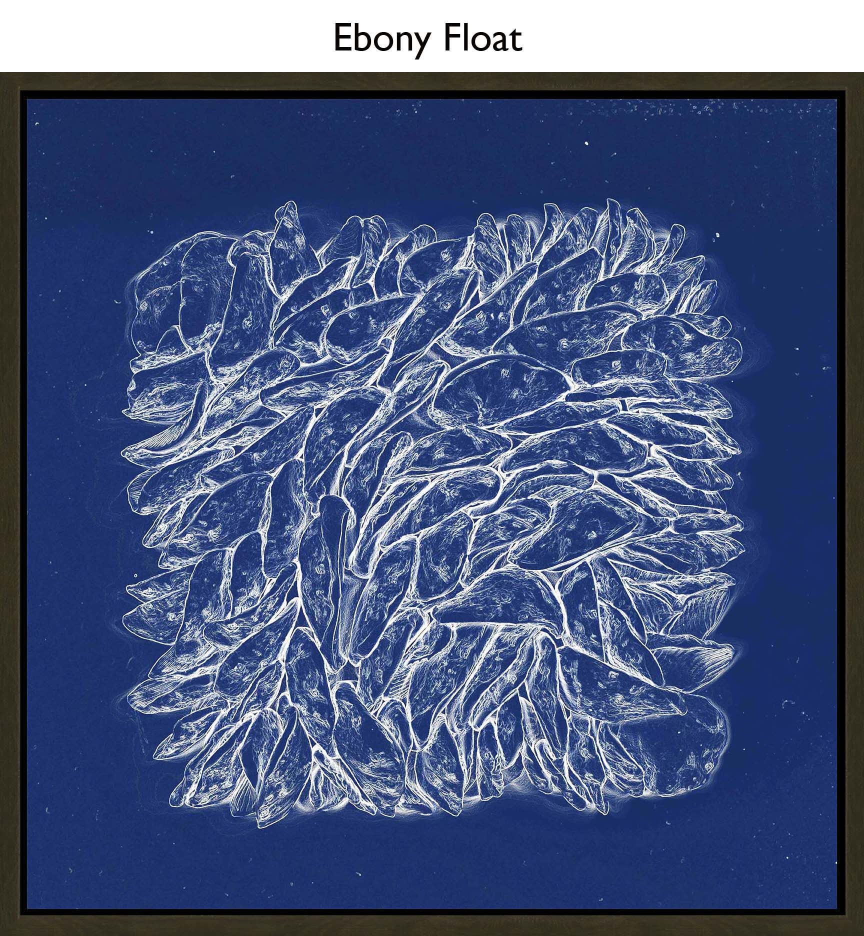 Ebony Float