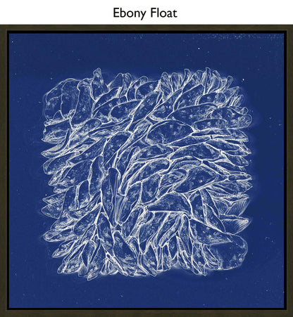 Ebony Float