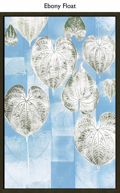 Ebony Float