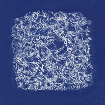 Cell-like coral abstraction with glowing white circular forms against a deep blue background, blending scientific detail with graphic elegance.