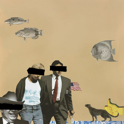 Surreal collage artwork with censored eyes, vintage fish, American flag, and symbolic imagery in muted earth tones

