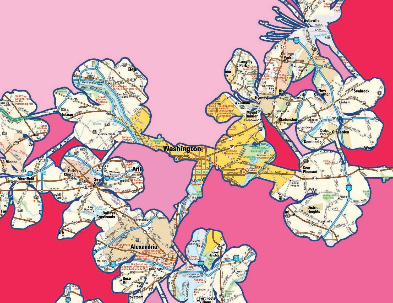 Washington D.C. map art shown as colorful floral blossoms with bright, whimsical shapes symbolizing growth and beauty in urban design.