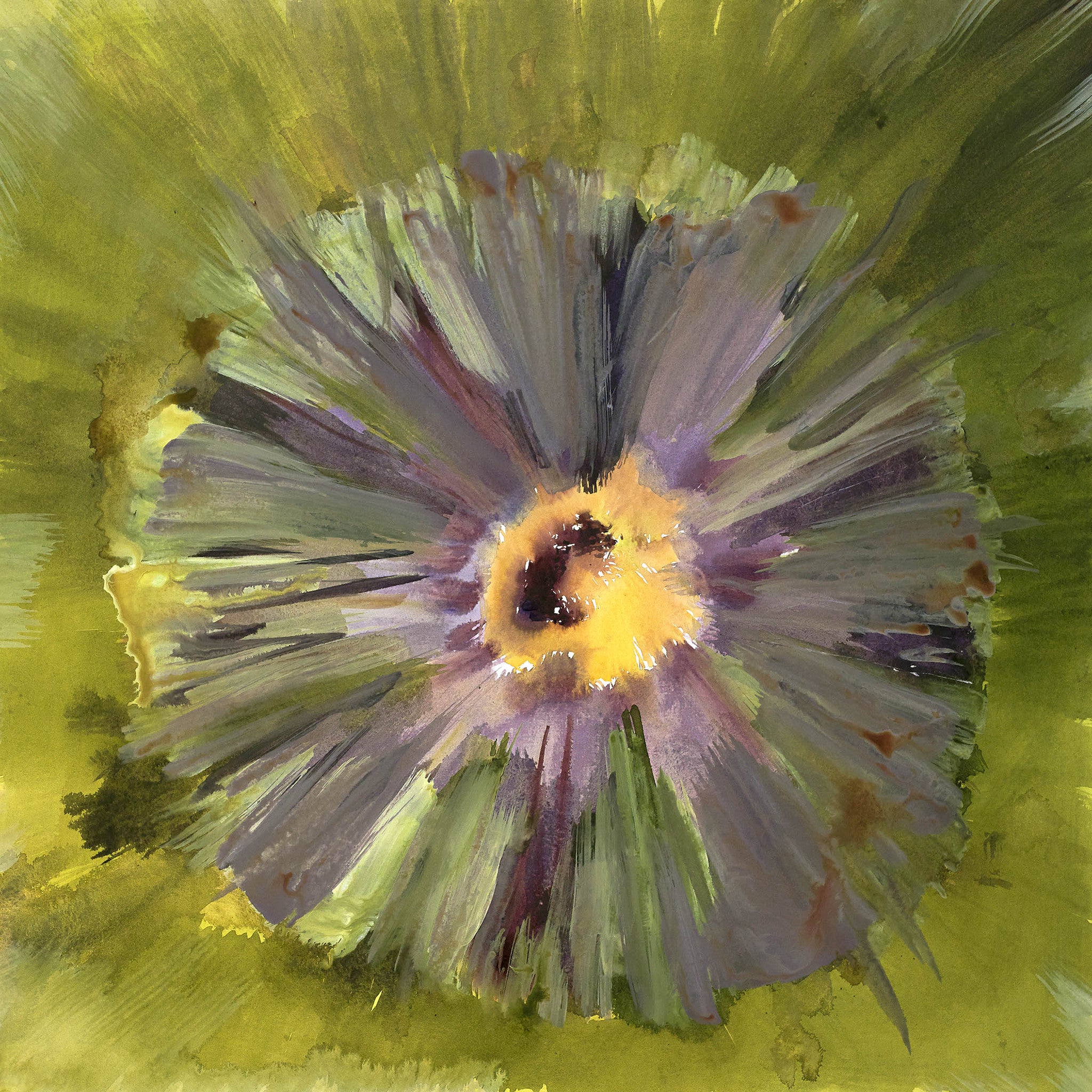 Illuminated Impressions VI