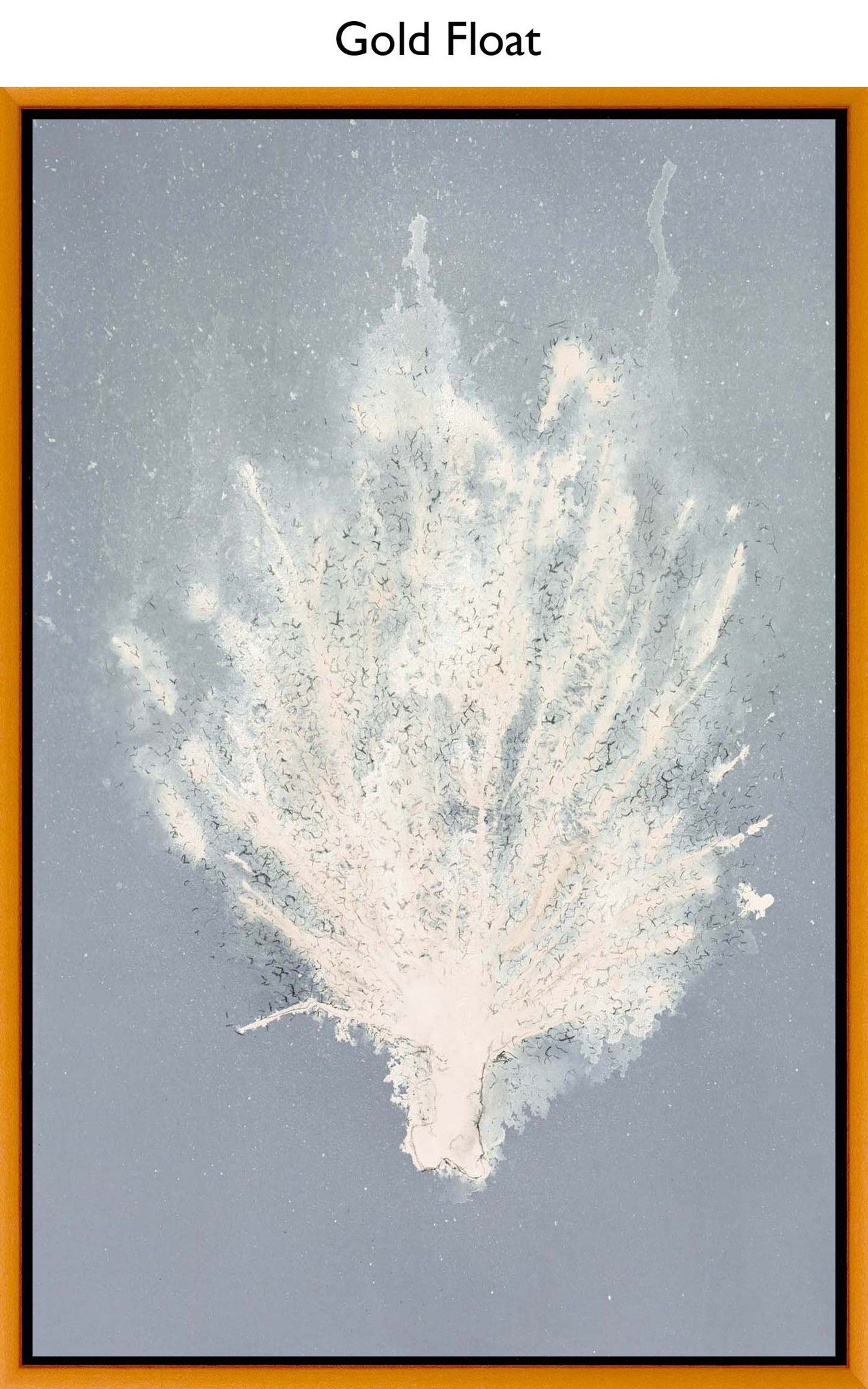 Gold Float