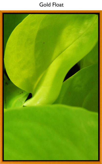 Gold Float