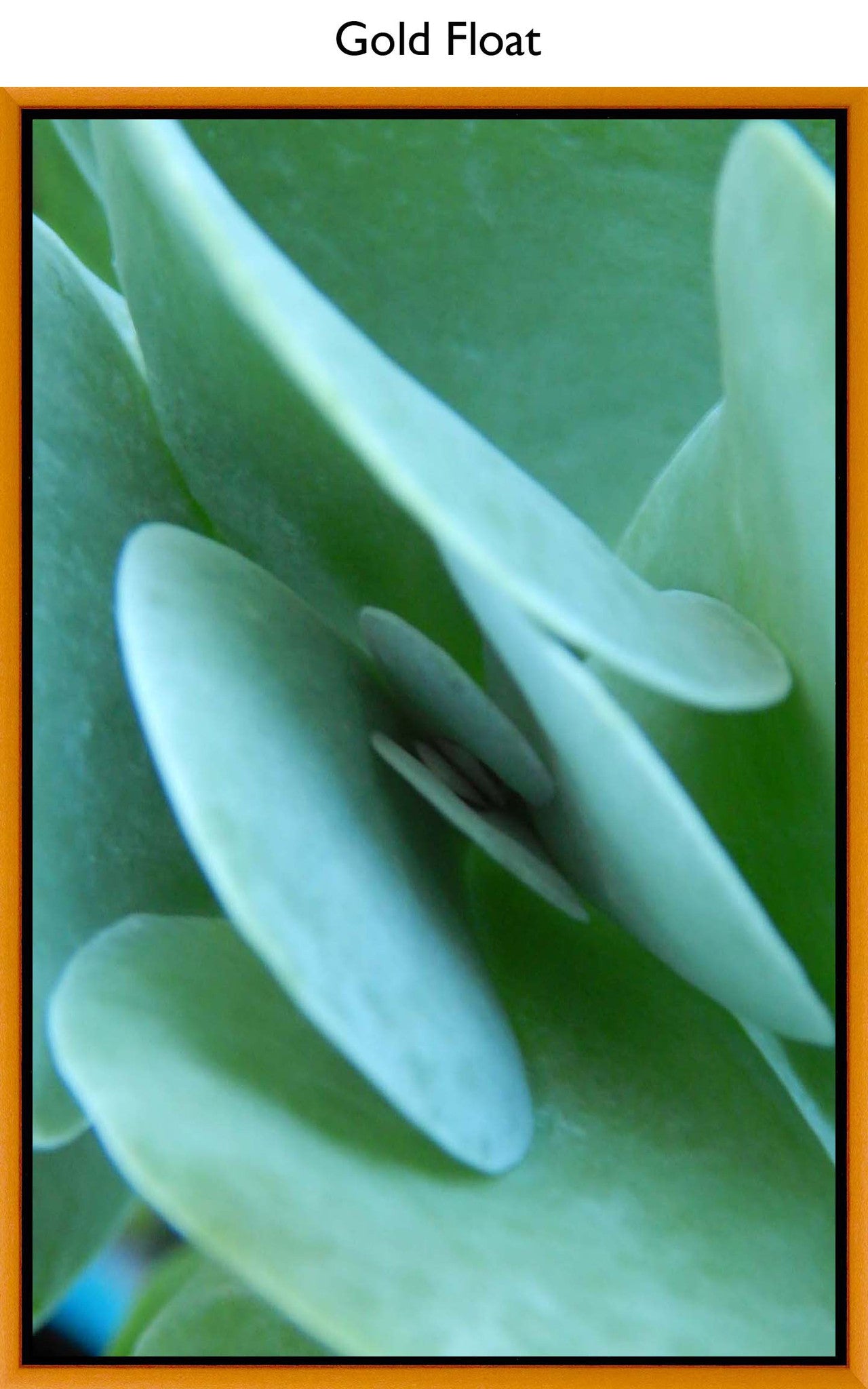 Gold Float