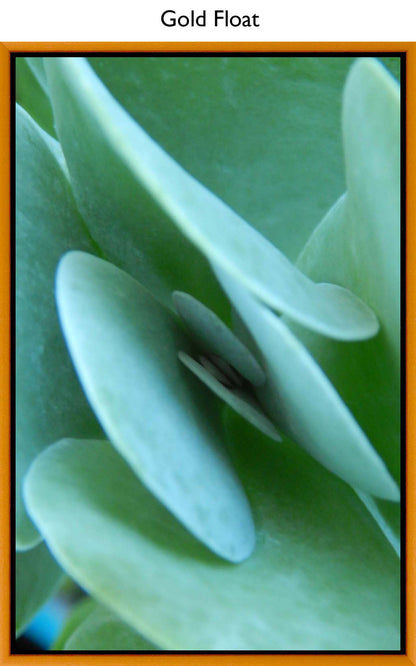 Gold Float