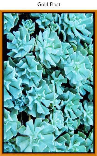 Gold Float