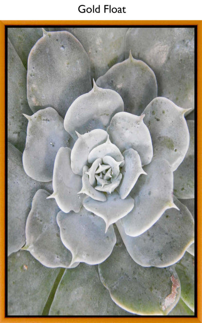 Gold Float