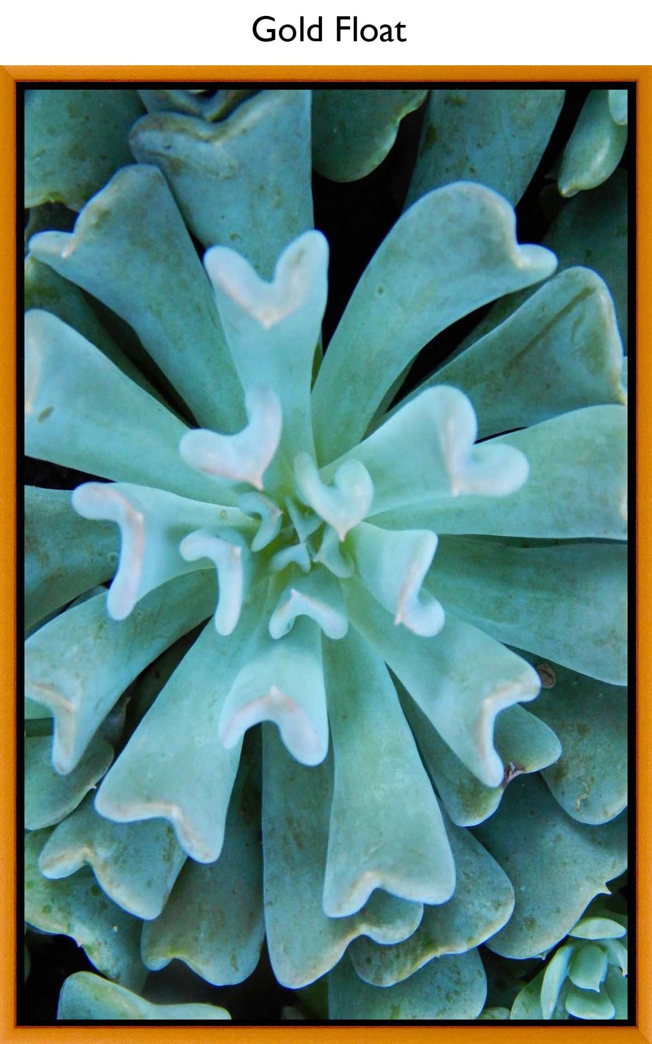 Gold Float