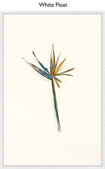 White Float
