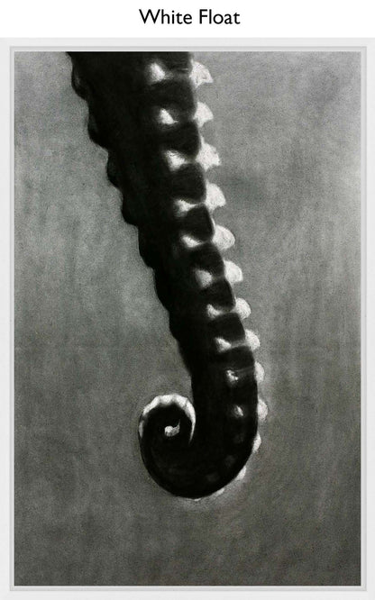 White Float