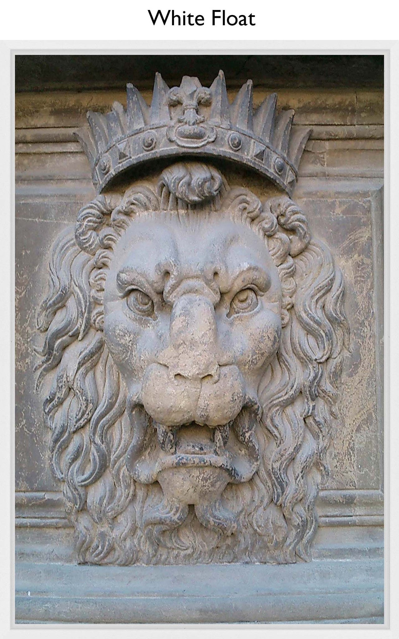 White Float
