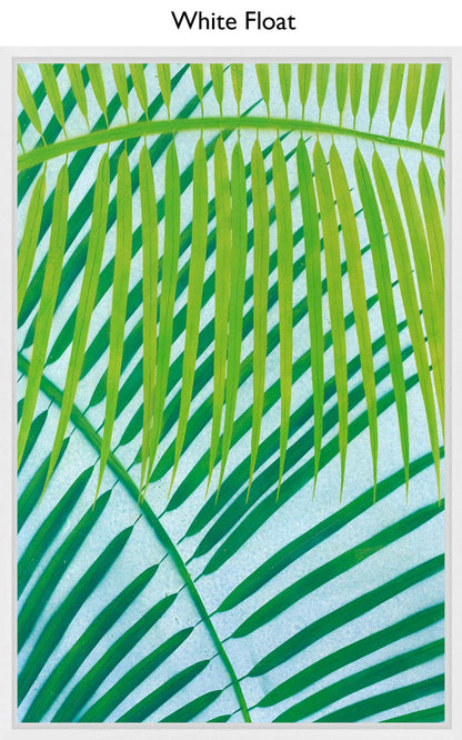 White Float