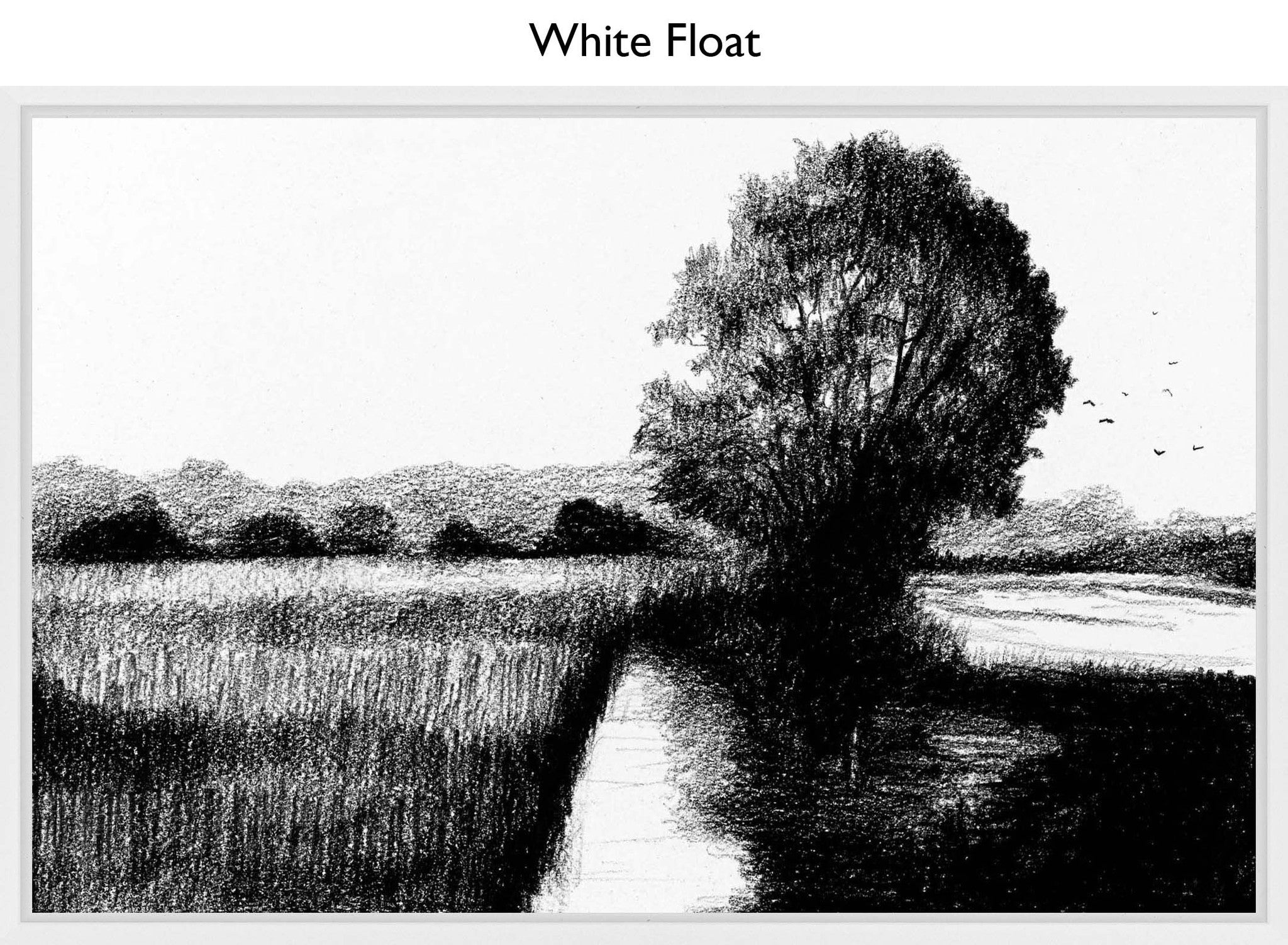 White Float