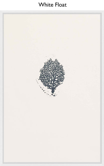 White Float