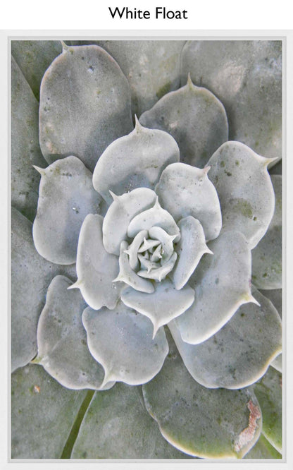 White Float