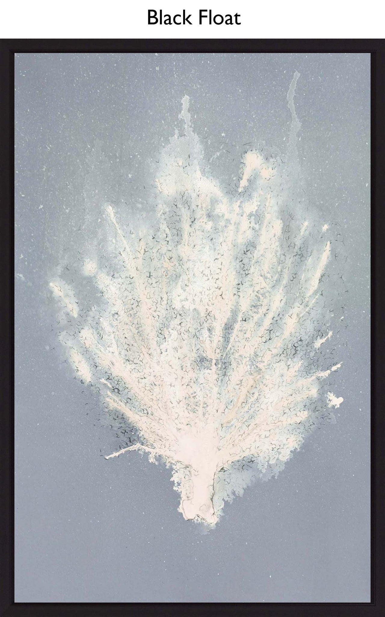 Black Float