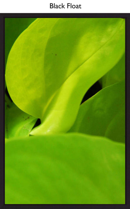 Black Float