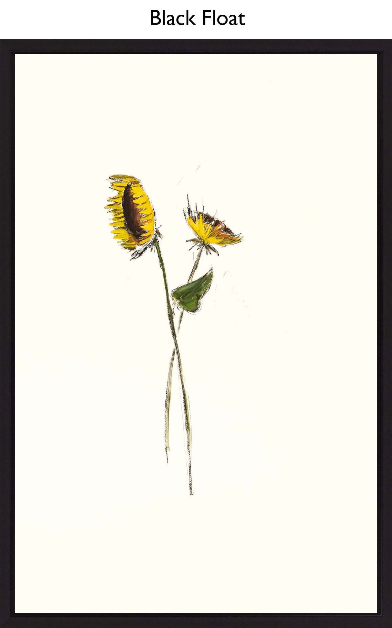 Black Float