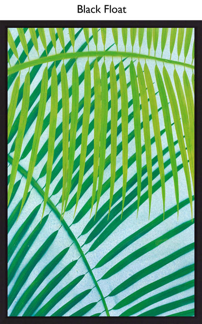 Black Float