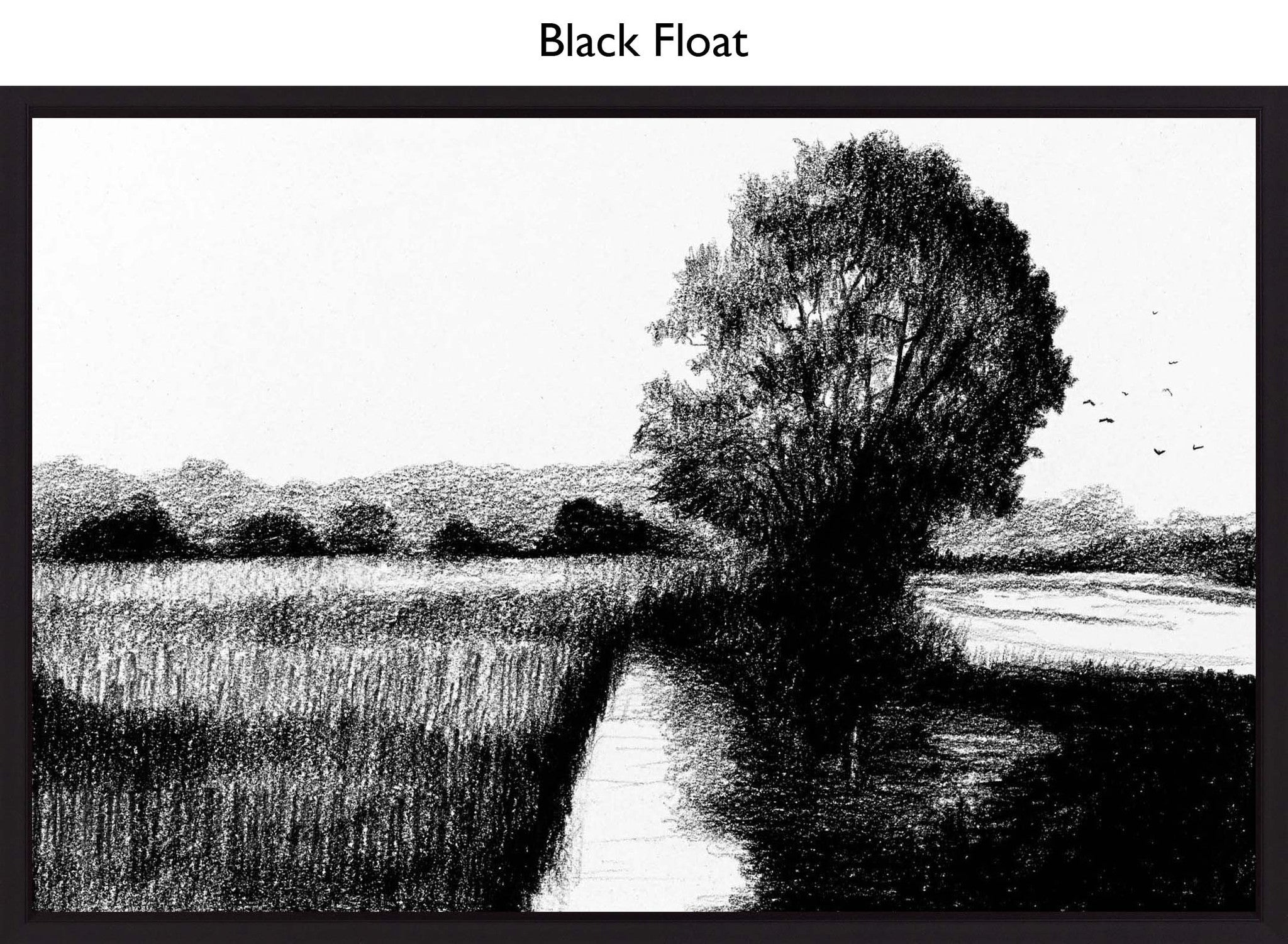 Black Float