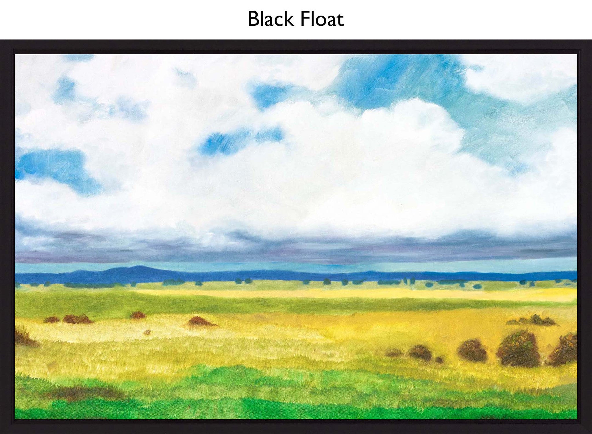 Black Float