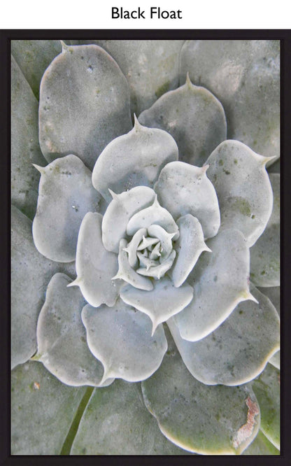 Black Float