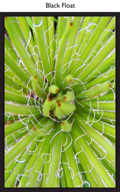 Black Float